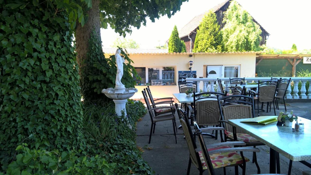 Pension Zschirnsteinbaude Kleingiesshubel エクステリア 写真